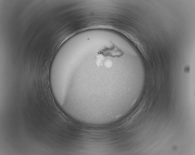 X0000116611273201001221311