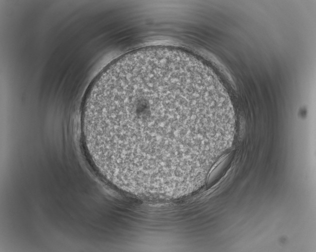 X0000116611274201001221311