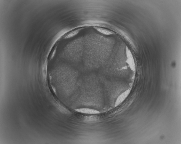 X0000116611275201001221311