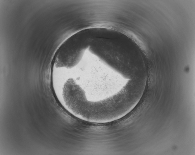 X0000116611276201001221311