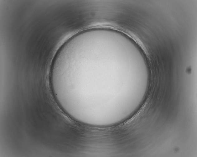 X0000116611277201001221311