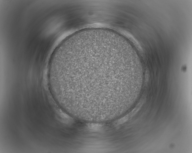 X0000116611278201001221311