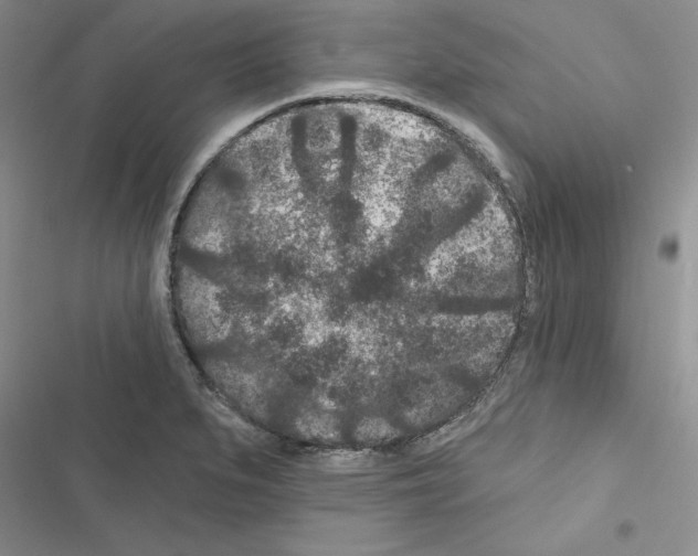 X0000116611279201001221311