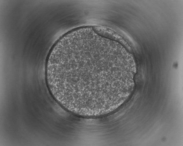 X0000116611280201001221311