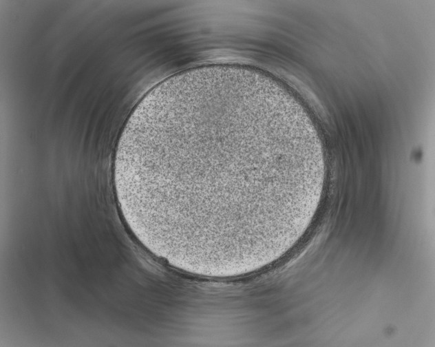 X0000116611281201001221311