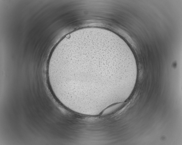 X0000116611282201001221311