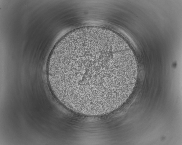 X0000116611283201001221311