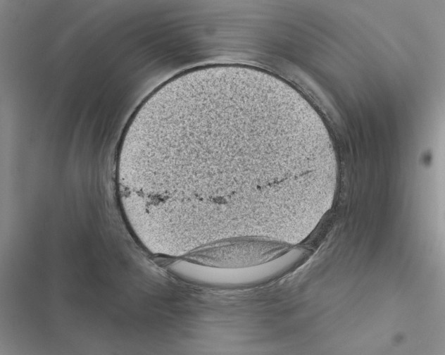 X0000116611284201001221311