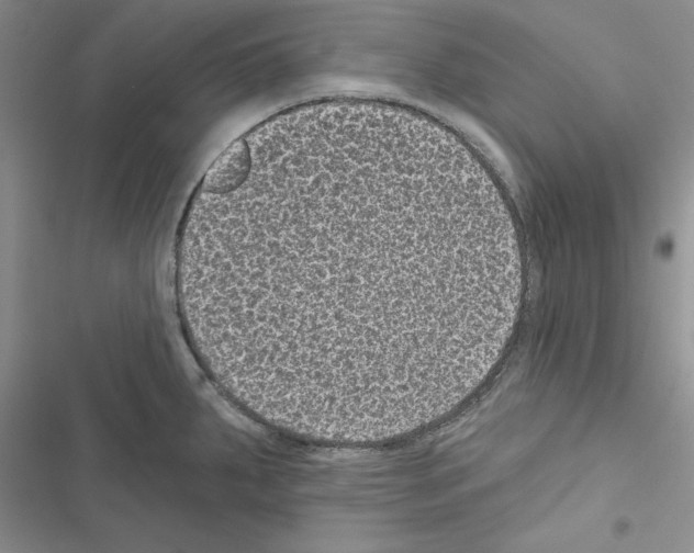 X0000116611287201001221311