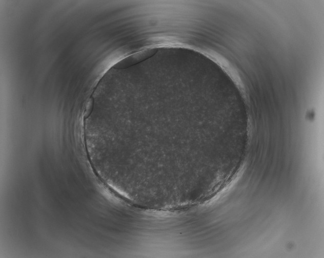 X0000116611289201001221311