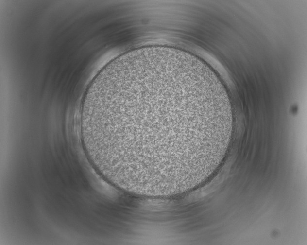 X0000116611290201001221311