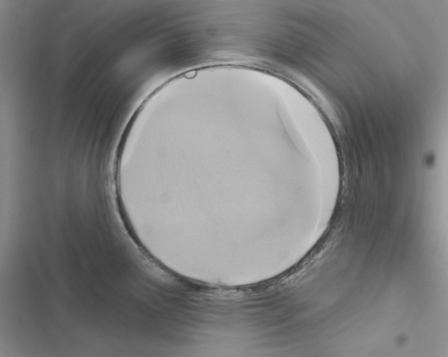 X0000116611291201001221311