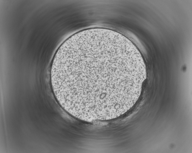 X0000116611292201001221311