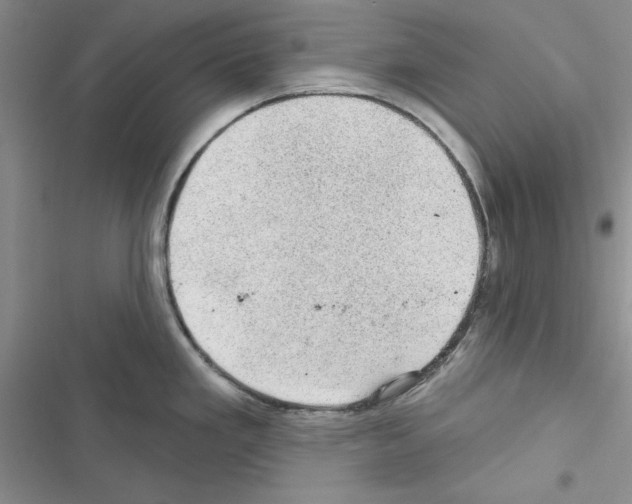 X0000116611293201001221311