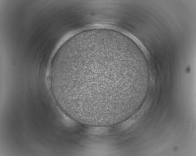 X0000116611294201001221311