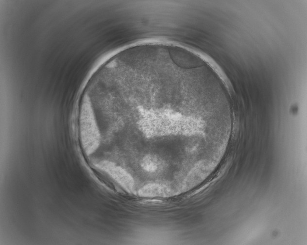 X0000116611295201001221311