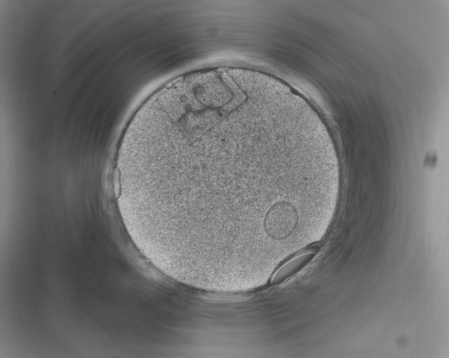 X0000116611296201001221311