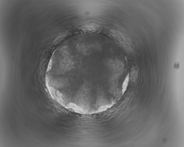 X0000116611297201001221310