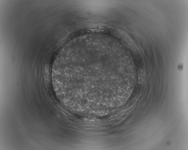 X0000116611298201001221310