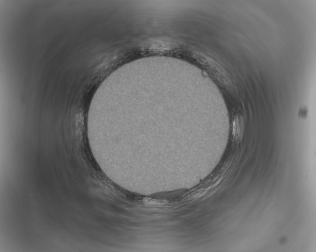 X0000116611299201001221310