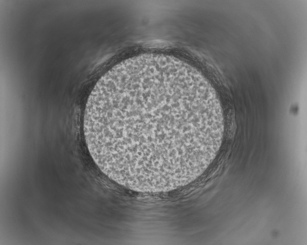 X0000116611301201001221310