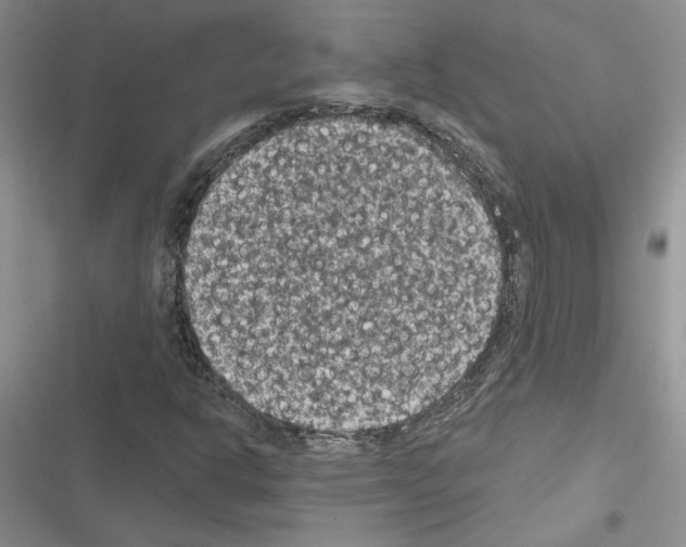 X0000116611302201001221310