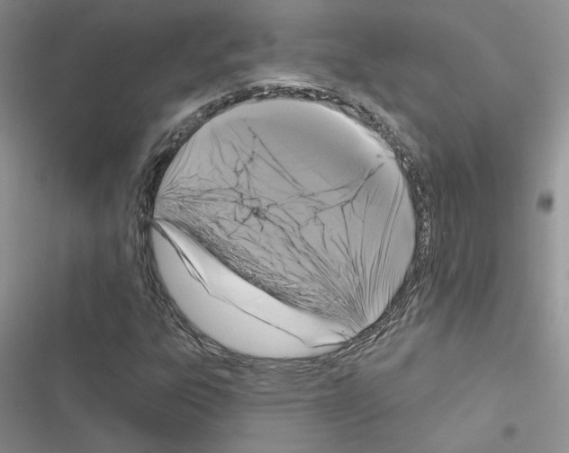 X0000116611303201001221310