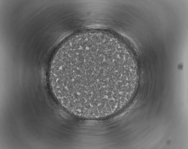 X0000116611305201001221310