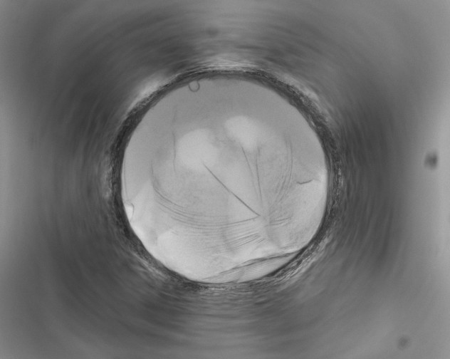 X0000116611306201001221310