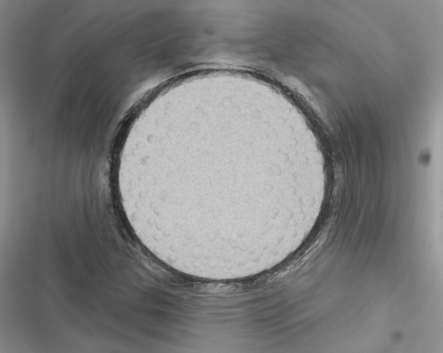 X0000116611307201001221310