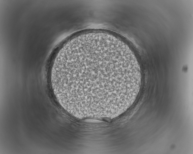 X0000116611311201001221310