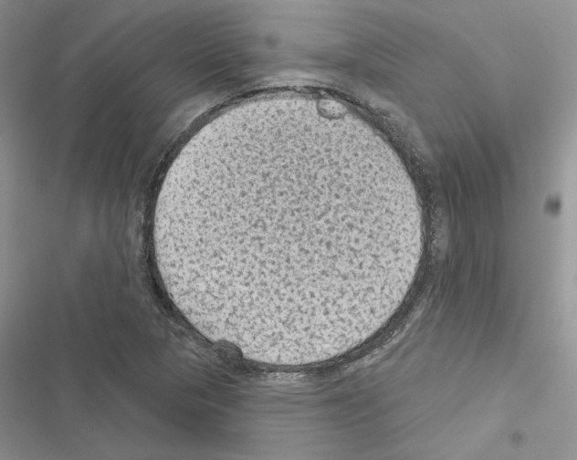 X0000116611313201001221310