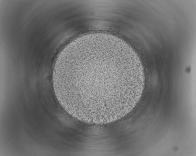 X0000116611314201001221310