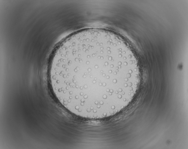 X0000116611315201001221310