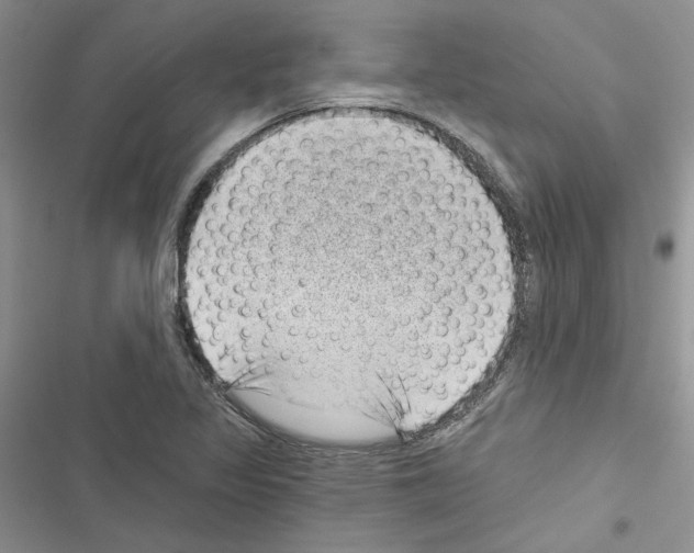 X0000116611317201001221310