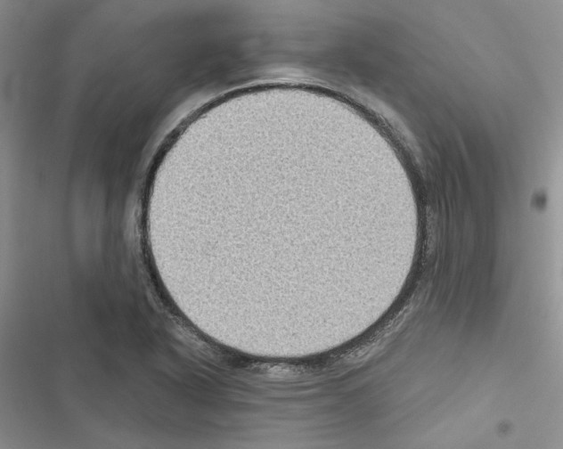 X0000116611318201001221310