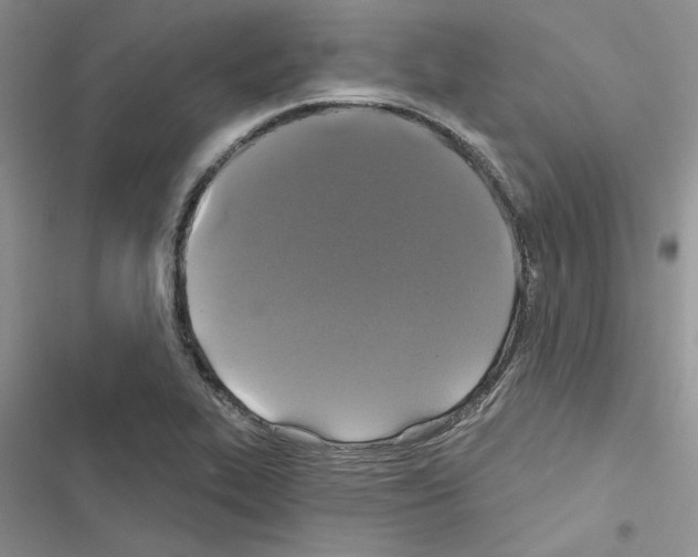 X0000116611319201001221310