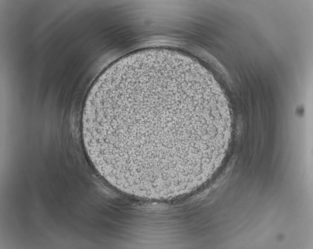 X0000116611321201001221311