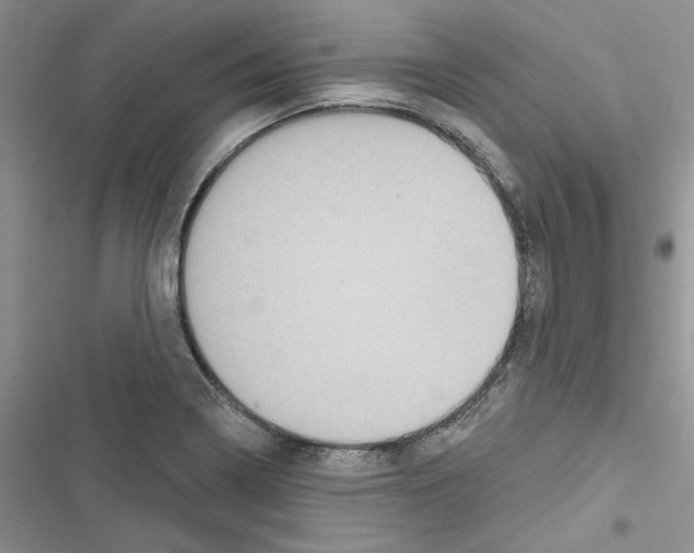 X0000116611322201001221311