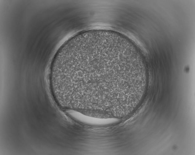 X0000116611325201001221311