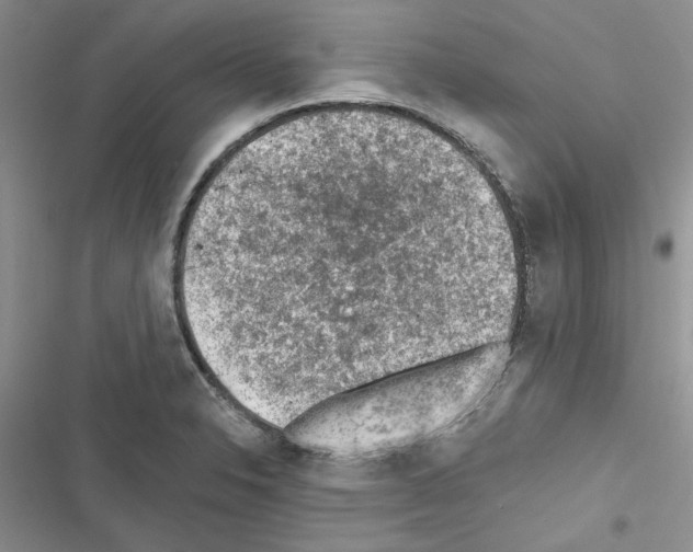 X0000116611326201001221311