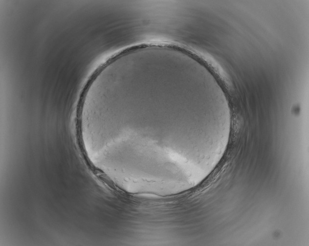 X0000116611327201001221311