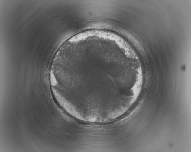 X0000116611329201001221311