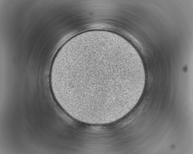 X0000116611330201001221311