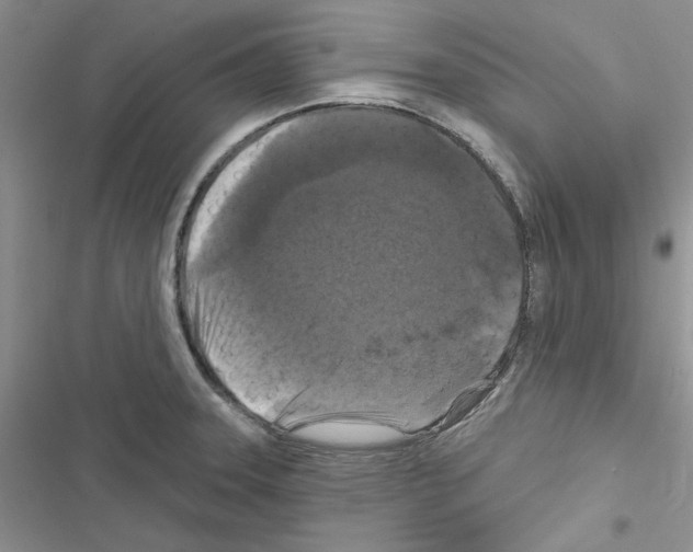 X0000116611331201001221311