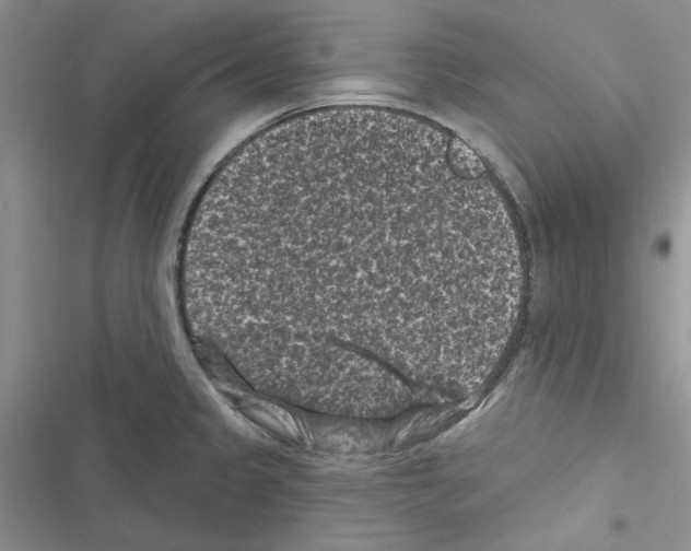 X0000116611333201001221311