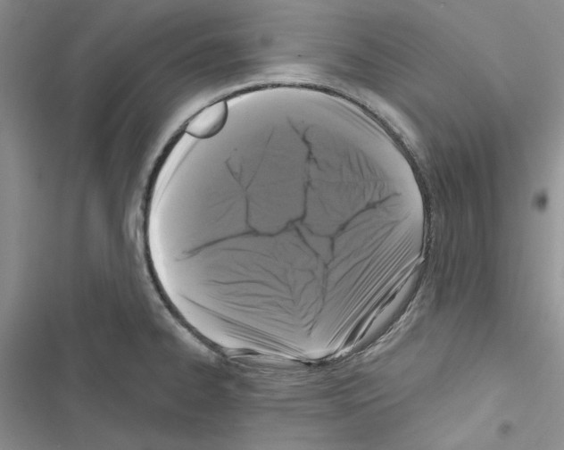 X0000116611334201001221311