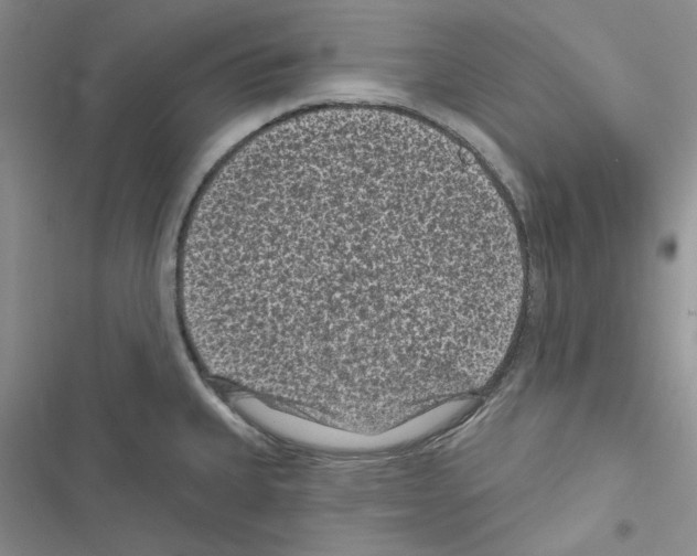 X0000116611335201001221311