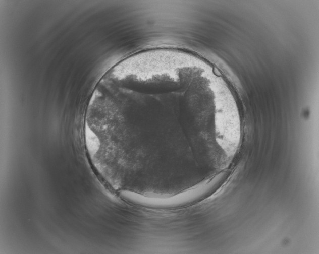 X0000116611337201001221311