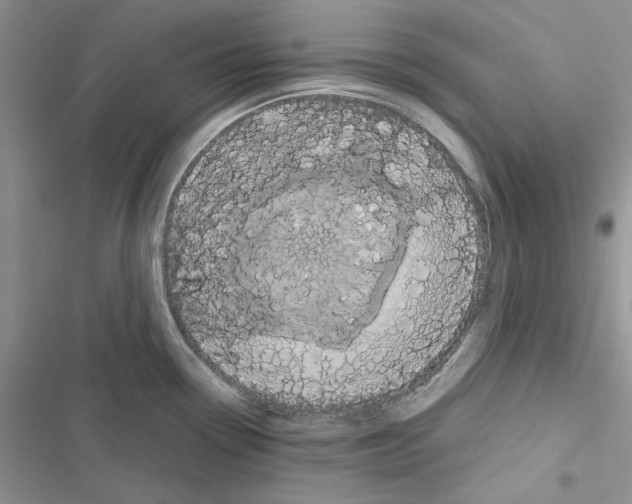 X0000116611338201001221311